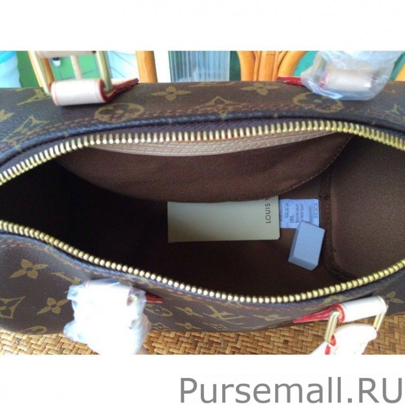 Speedy 25 Monogram Canvas M41528