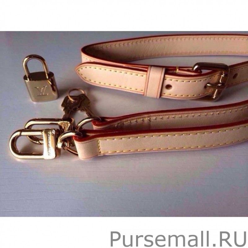 Speedy Bandouliere 25 Monogram M41113